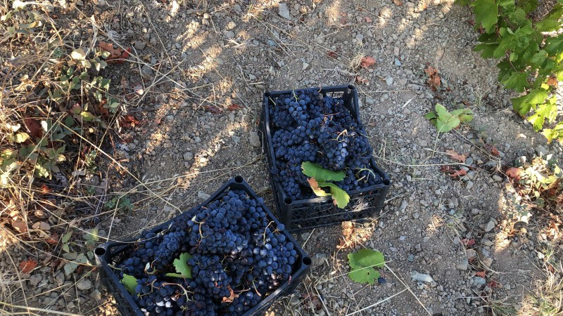 TEKİRDAĞ ŞARKÖY DENİZ VE ADA MANZARALI 5.307M2 İMARLI SATILIK