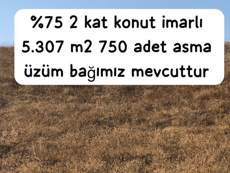 TEKİRDAĞ ŞARKÖY DENİZ VE ADA MANZARALI 5.307M2 İMARLI SATILIK