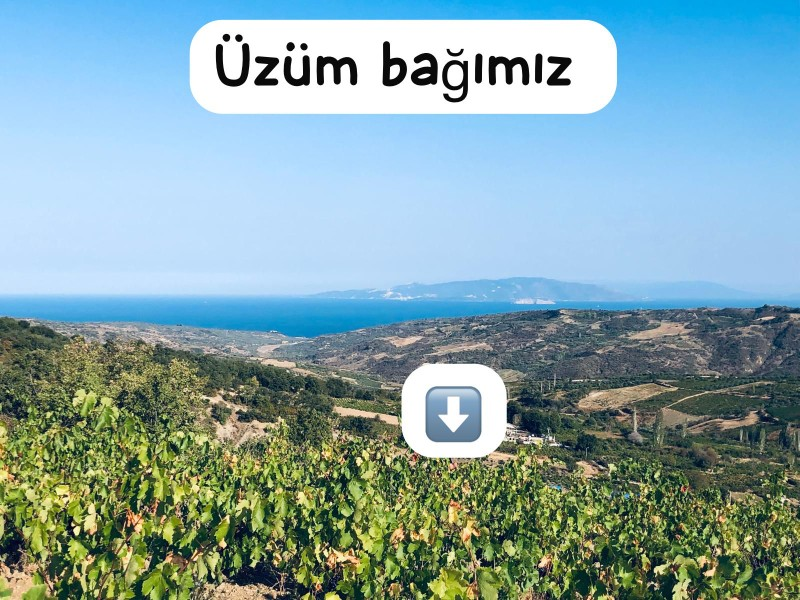 TEKİRDAĞ ŞARKÖY DENİZ VE ADA MANZARALI 5.307M2 İMARLI SATILIK