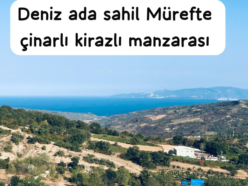 TEKİRDAĞ ŞARKÖY DENİZ VE ADA MANZARALI 5.307M2 İMARLI SATILIK