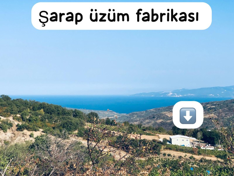 TEKİRDAĞ ŞARKÖY DENİZ VE ADA MANZARALI 5.307M2 İMARLI SATILIK