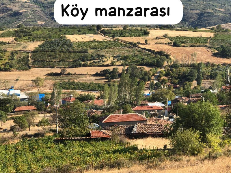 TEKİRDAĞ ŞARKÖY DENİZ VE ADA MANZARALI 5.307M2 İMARLI SATILIK