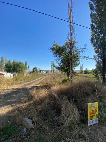 GÜVENAY - ÇORUM MERKEZ CELİLKIRI KÖYÜ GİRİŞİNDE  SATILIK TARLA