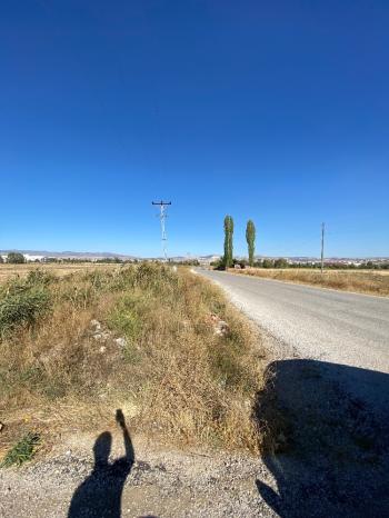 GÜVENAY - ÇORUM MERKEZ AT BİNİCİLİK TESİSİ HEMEN YANINDA SATILIK TARLA