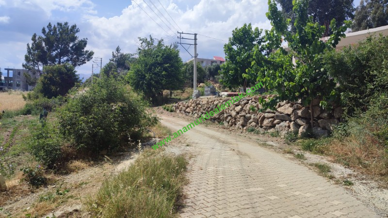 ANAMUR BOZDOĞAN KÖYÜNDE YATIRIMLIK TARLA