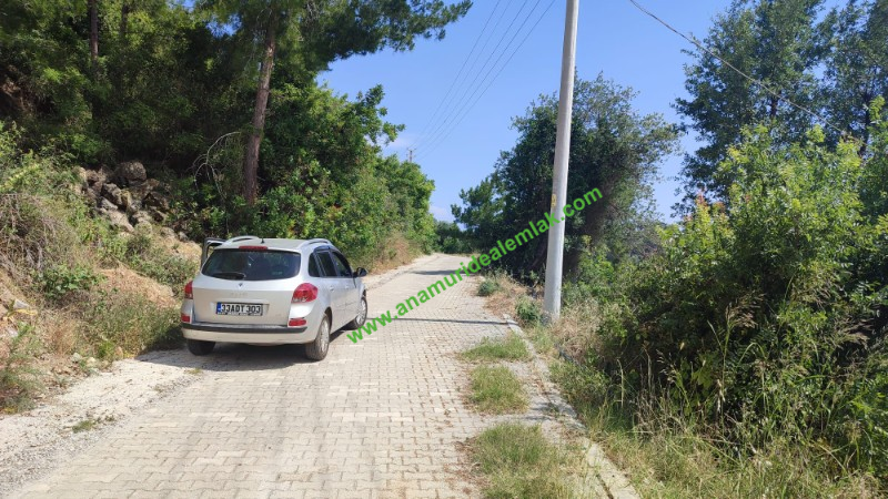 ANAMUR BOZDOĞAN KÖYÜNDE YATIRIMLIK TARLA