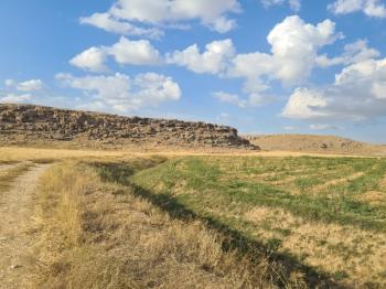 ÇAVDARLIDA 21.5 DÖNÜM VERİMLİ SULAK    SATILIK  TARLA 