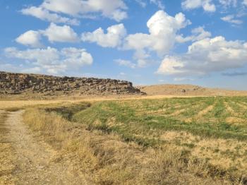 ÇAVDARLIDA 21.5 DÖNÜM VERİMLİ SULAK    SATILIK  TARLA 