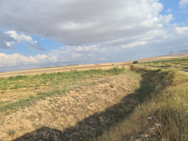 ÇAVDARLIDA 21.5 DÖNÜM VERİMLİ SULAK    SATILIK  TARLA 