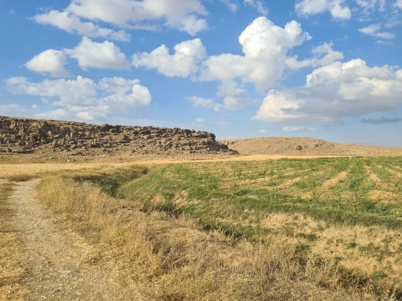 ÇAVDARLIDA 21.5 DÖNÜM VERİMLİ SULAK    SATILIK  TARLA 