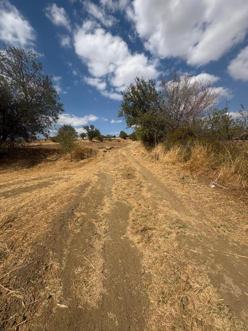 MALKARA YENİ MAHALLE DE FIRSAT YOLA CEPHELİ YATIRIMLIK PARSELLER