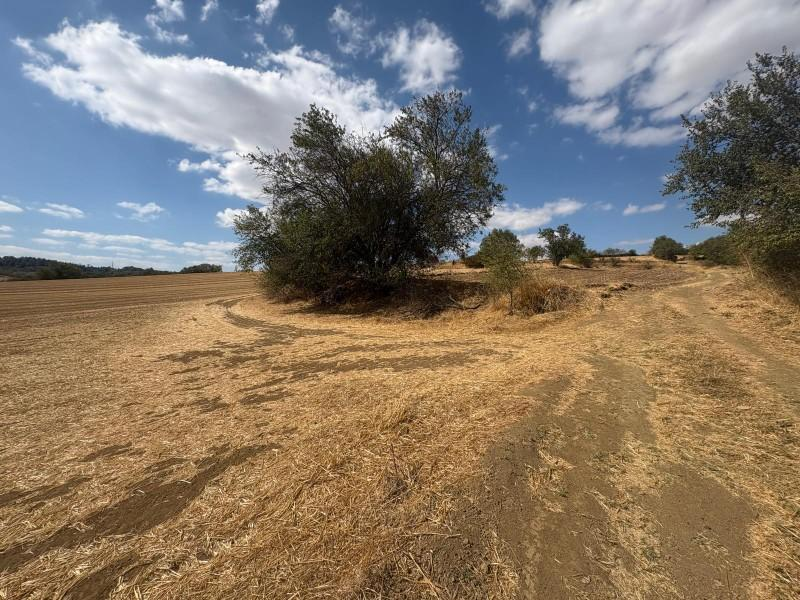 MALKARA YENİ MAHALLE DE FIRSAT YOLA CEPHELİ YATIRIMLIK PARSELLER