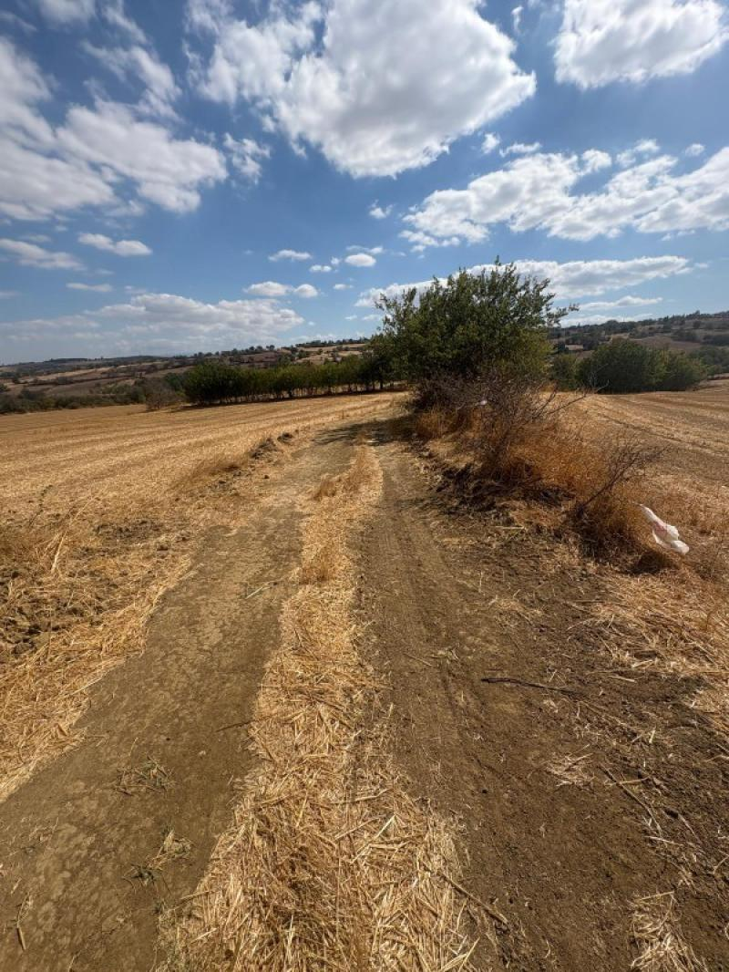 MALKARA YENİ MAHALLE DE FIRSAT YOLA CEPHELİ YATIRIMLIK PARSELLER