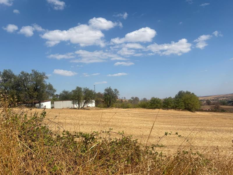 MALKARA YENİ MAHALLE DE FIRSAT YOLA CEPHELİ YATIRIMLIK PARSELLER