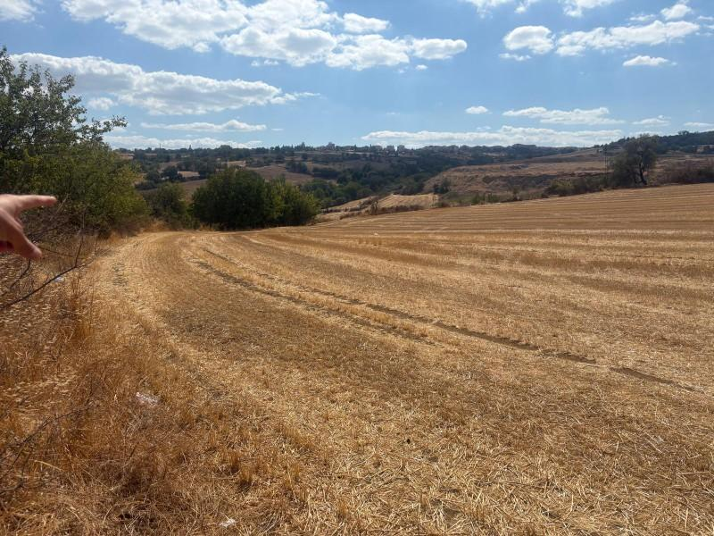 MALKARA YENİ MAHALLE DE FIRSAT YOLA CEPHELİ YATIRIMLIK PARSELLER