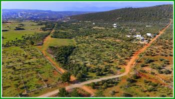 Didim Balova 1'de Satılık İmarlı Arsa 315m2