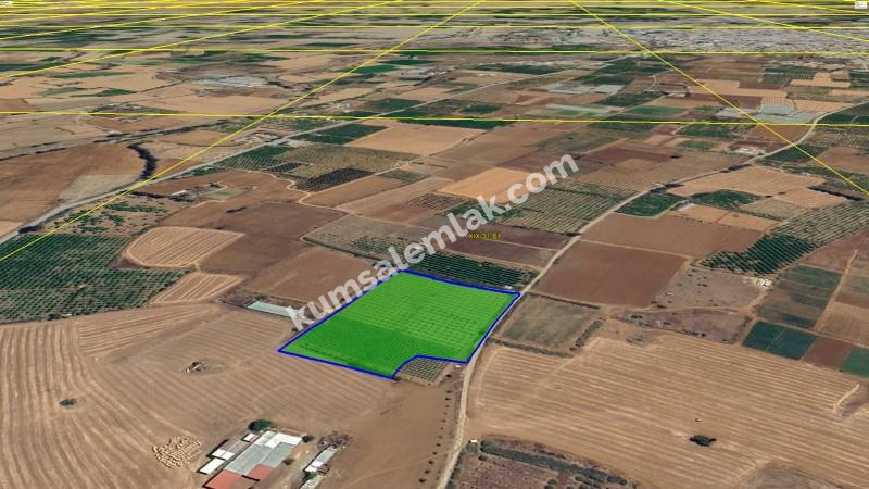 GÜZELYURT MERKEZDE TEK PARSEL SATILIK TARLA 