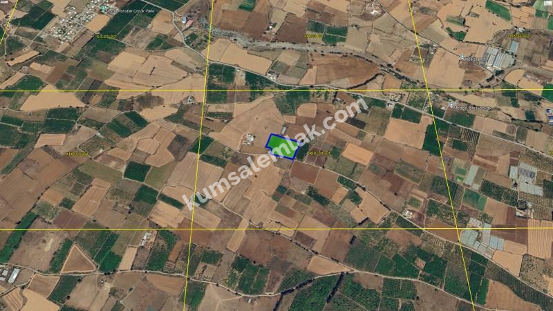 GÜZELYURT MERKEZDE TEK PARSEL SATILIK TARLA 