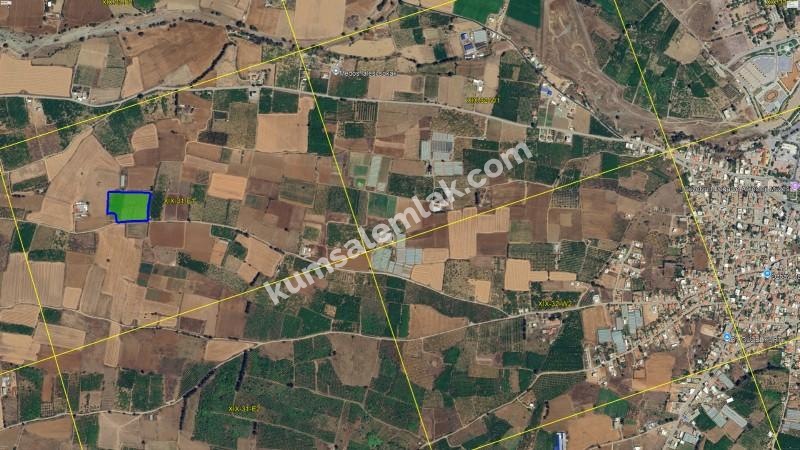 GÜZELYURT MERKEZDE TEK PARSEL SATILIK TARLA 