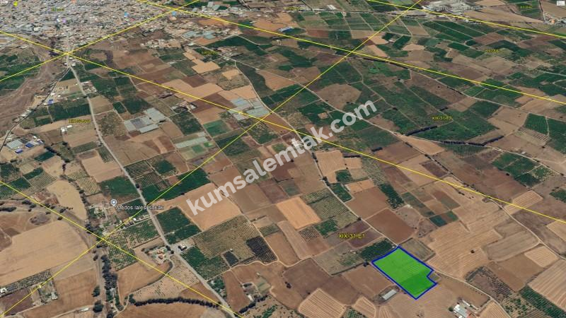 GÜZELYURT MERKEZDE TEK PARSEL SATILIK TARLA 