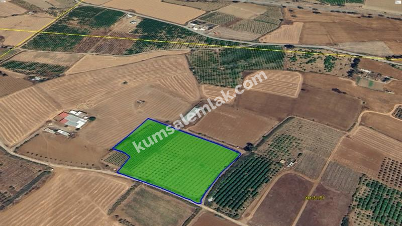 GÜZELYURT MERKEZDE TEK PARSEL SATILIK TARLA 