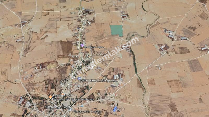 LEFKOŞA DİLEKKAYA'DA TARIMSAL TARLA