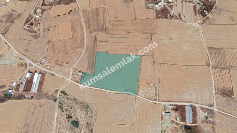 LEFKOŞA DİLEKKAYA'DA TARIMSAL TARLA