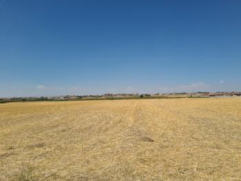 ÇAVDARLIDA   Çamardı yolu altında 7  dönüm satılık tarla