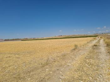 ÇAVDARLIDA   Çamardı yolu altında 7  dönüm satılık tarla