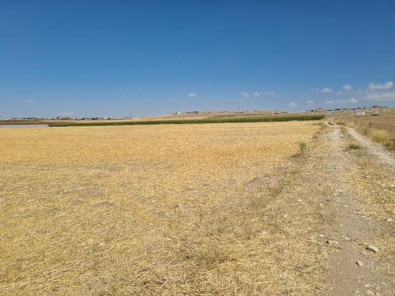 ÇAVDARLIDA   Çamardı yolu altında 7  dönüm satılık tarla