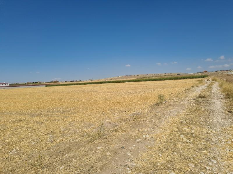 ÇAVDARLIDA   Çamardı yolu altında 7  dönüm satılık tarla