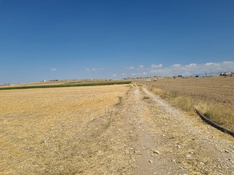 ÇAVDARLIDA   Çamardı yolu altında 7  dönüm satılık tarla