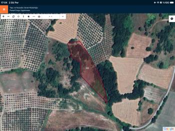 DijitalEmlak’tan Mudanya Hançerli köyünde Satılık Yatırımlık 6 dönüm Tarla. 