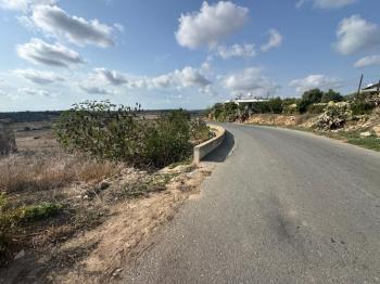 İSKELE ZİYAMET'DE SATILIK TARLA