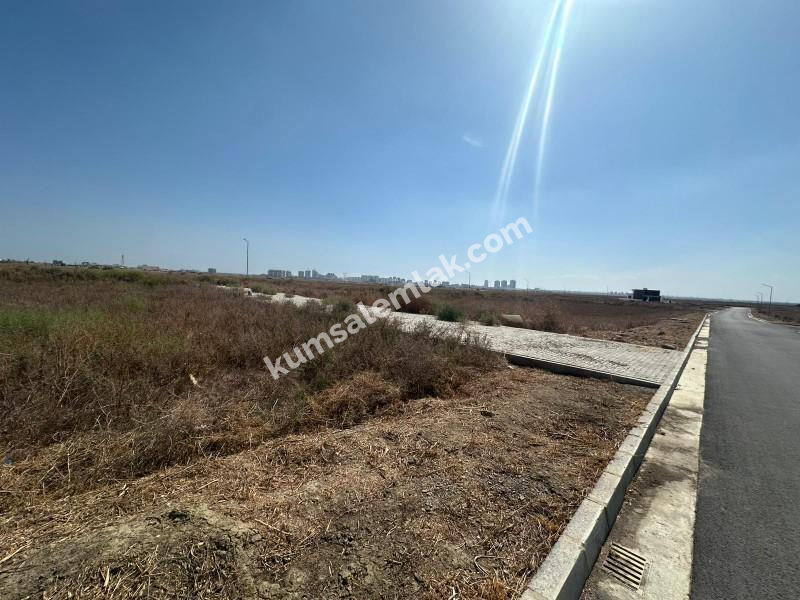 İSKELE ANFORA'DA SATILIK ARSALAR 