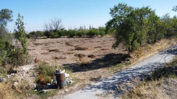 AFYON ÜÇOK EMLAKTAN ATAKÖY MAH SATILIK ! FIRSAT 3.743M² BAĞ - BAHÇE