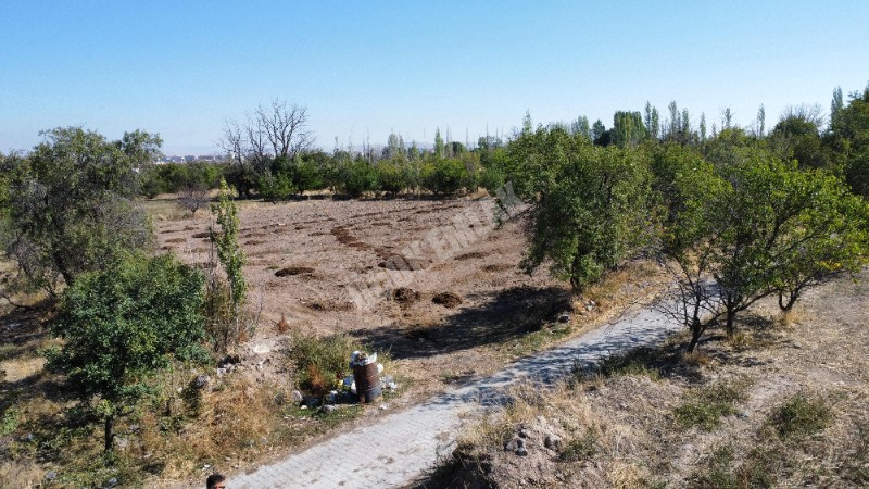 AFYON ÜÇOK EMLAKTAN ATAKÖY MAH SATILIK ! FIRSAT 3.743M² BAĞ - BAHÇE