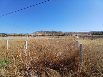 GÜVENAY - ÇORUM ŞARMAŞA KÖYÜ KARŞISI 500M² SATILIK HOBİ BAHÇESİ 