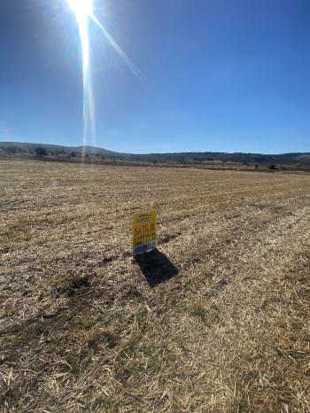 GÜVENAY - ÇORUM MERKEZ PEMBECİK KÖYÜNDE SATILIK TARLA