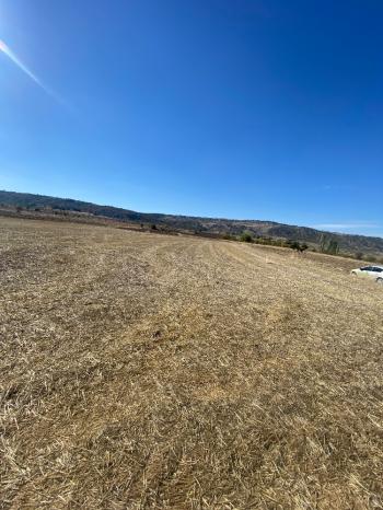 GÜVENAY - ÇORUM MERKEZ PEMBECİK KÖYÜNDE SATILIK TARLA