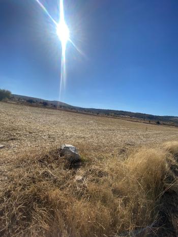 GÜVENAY - ÇORUM MERKEZ PEMBECİK KÖYÜNDE SATILIK TARLA