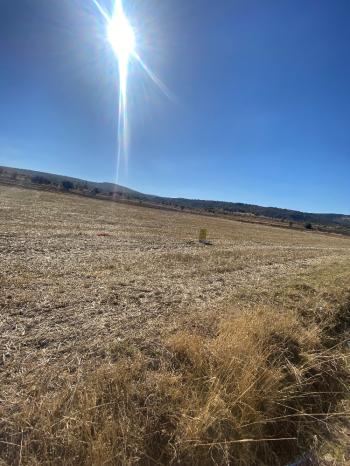 GÜVENAY - ÇORUM MERKEZ PEMBECİK KÖYÜNDE SATILIK TARLA