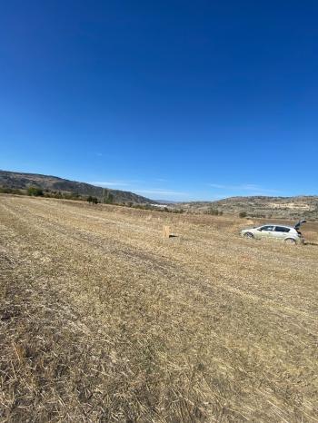 GÜVENAY - ÇORUM MERKEZ PEMBECİK KÖYÜNDE SATILIK TARLA