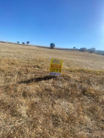 GÜVENAY - ÇORUM MERKEZ PEMBECİK KÖYÜ YOLU ÜZERİNDE  SATILIK TARLA