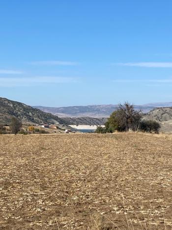 GÜVENAY - ÇORUM MERKEZ PEMBECİK KÖYÜ YOLU ÜZERİNDE  SATILIK TARLA