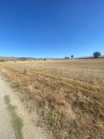 GÜVENAY - ÇORUM MERKEZ PEMBECİK KÖYÜ YOLU ÜZERİNDE  SATILIK TARLA