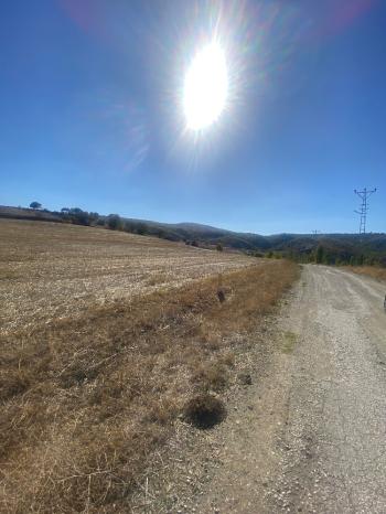 GÜVENAY - ÇORUM MERKEZ PEMBECİK KÖYÜ YOLU ÜZERİNDE  SATILIK TARLA