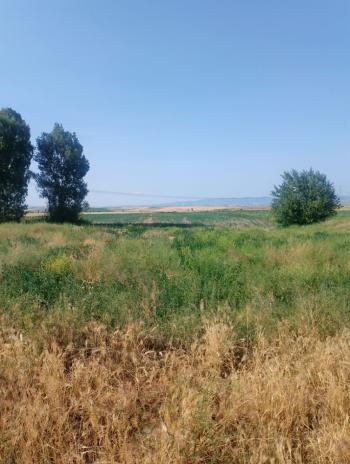 GÜVENAY - ÇORUM ABDALATA KÖYÜ SATILIK TARLA