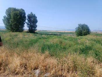 GÜVENAY - ÇORUM ABDALATA KÖYÜ SATILIK TARLA