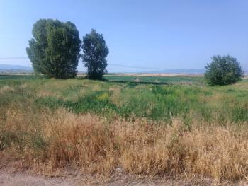 GÜVENAY - ÇORUM ABDALATA KÖYÜ SATILIK TARLA